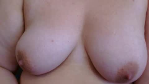 dailydisguised online show from February 2026 03:05:02 PM