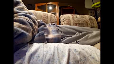 DailyJerker84 online show from March 2025 06:13:02 AM