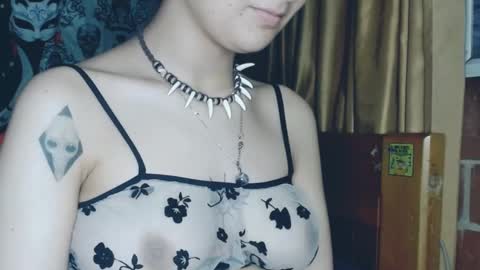 Snapshot of dak_7 chatting on February 2025 11:32:02 PM -- -- help me reach 100 hands up online show from February 2025 11:32:02 PM