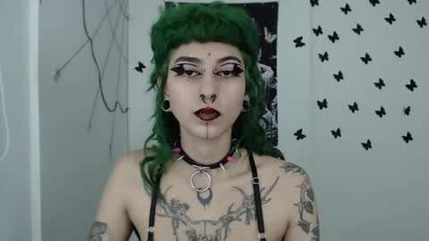 dakota online show from December 2024 02:52:01 AM