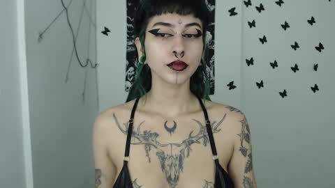 dakota online show from January 2025 09:10:02 AM