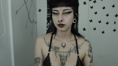 dakota online show from February 2025 05:48:01 AM