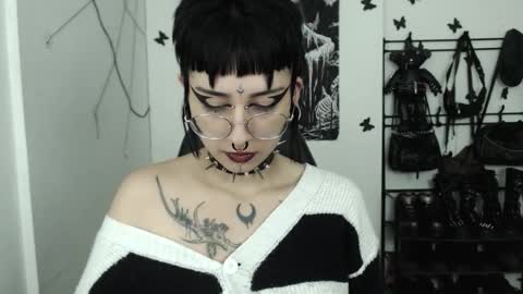 dakota online show from October 2025 04:04:02 AM