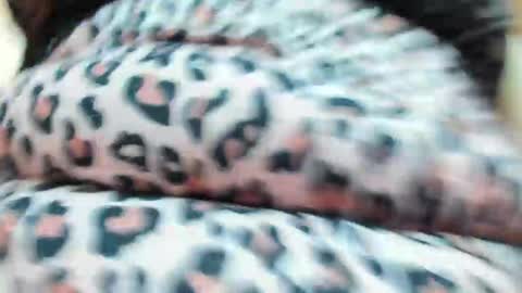 danajhonson online show from April 2026 02:07:02 PM