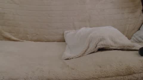 Snapshot of danaperfect chatting on January 2025 11:00:02 AM Daniella online show from January 2025 11:00:02 AM