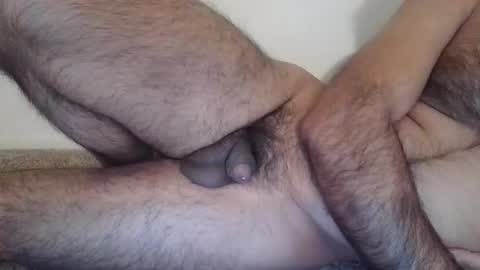 danazh online show from December 2025 11:45:01 PM