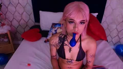 Dan  online show from December 2024 06:33:01 PM