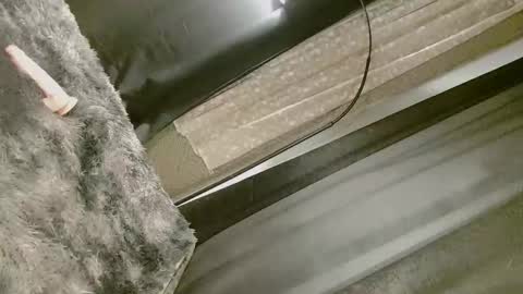 Snapshot of dangerouscock69_nica chatting on September 2025 08:25:02 AM Nica online show from September 2025 08:25:02 AM