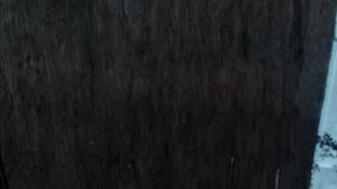 Snapshot of dangerouscock69_nica chatting on October 2025 08:54:02 AM Nica online show from October 2025 08:54:02 AM