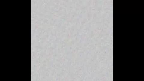 Dani Brasil online show from December 2025 02:30:02 AM