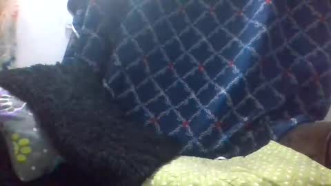 dani9821569006 online show from March 2026 08:03:02 AM