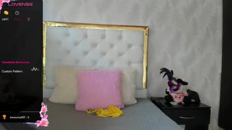 Snapshot of dani_ary chatting on February 2025 06:13:02 PM DANI online show from February 2025 06:13:02 PM