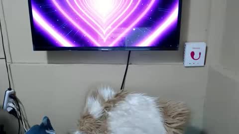 Snapshot of danica_wild chatting on December 2025 03:44:02 AM Danica online show from December 2025 03:44:02 AM