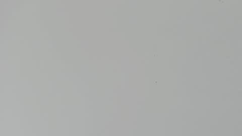 daniel_kingxxx online show from March 2026 12:34:01 PM