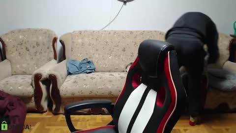 Snapshot of daniel_padalecki chatting on February 2025 05:11:02 PM Daniel online show from February 2025 05:11:02 PM