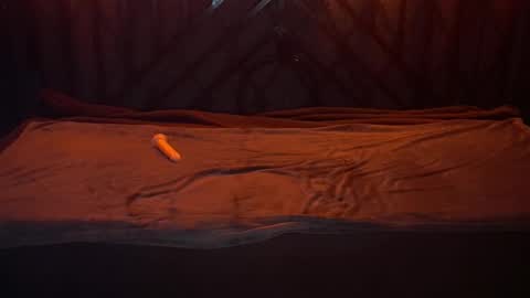 Snapshot of danielareign chatting on December 2025 07:26:01 AM danielareign online show from December 2025 07:26:01 AM