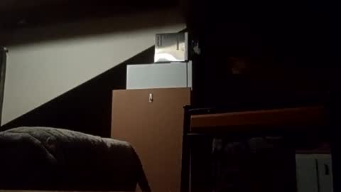 Snapshot of danieldayz chatting on November 2025 10:58:02 AM danieldayz online show from November 2025 10:58:02 AM