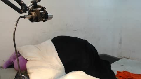 danielitopapii online show from December 2024 06:49:01 PM