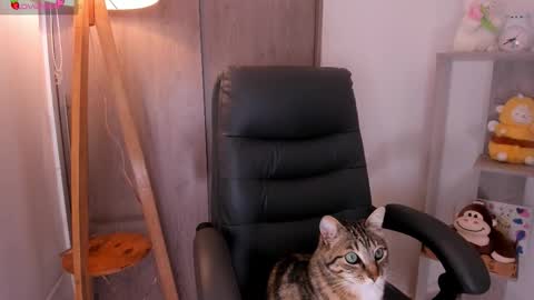 Snapshot of daniellerose_ chatting on November 2025 08:22:02 PM Danielle Rose online show from November 2025 08:22:02 PM