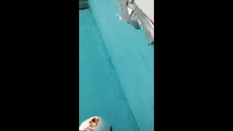 danipas_30 online show from February 2026 05:57:01 AM