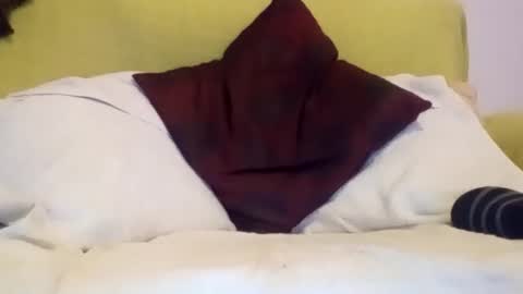 daniroca8 online show from February 2026 06:36:01 PM