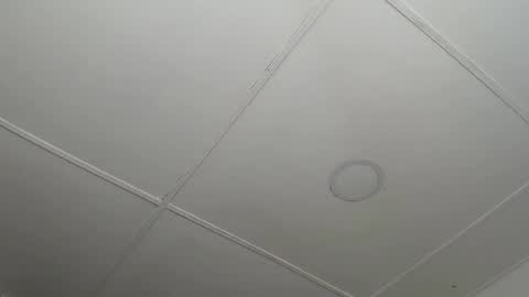 dannaberlin_0 online show from February 2025 12:22:02 PM