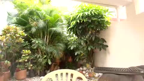 Snapshot of dannadoll69 chatting on October 2025 12:48:02 PM Dannamunoz130 online show from October 2025 12:48:02 PM