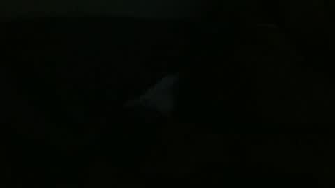 Dee online show from December 2024 12:00:02 PM