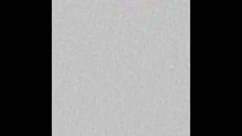 Dannyaa online show from December 2025 12:03:02 PM