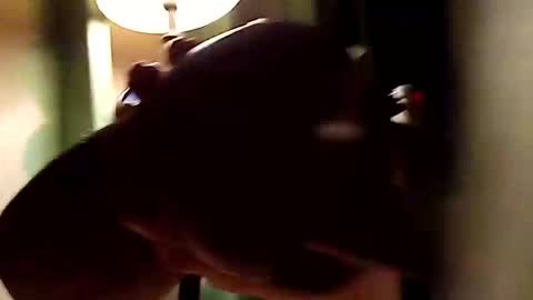 Snapshot of dano9696 chatting on November 2025 10:28:02 AM dano9696 online show from November 2025 10:28:02 AM