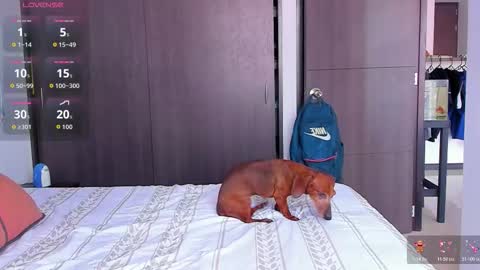 danyfitguy_ online show from November 2025 05:11:01 PM