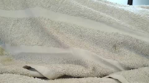 dapppper online show from September 2025 06:10:02 PM