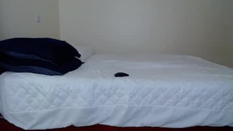 dark_qween online show from October 2025 06:37:02 AM