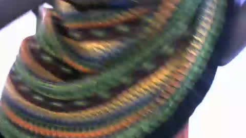 Ebony online show from January 2025 03:22:01 AM