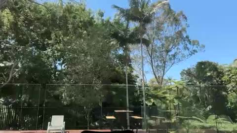 dartanian0001 online show from September 2025 02:05:01 AM