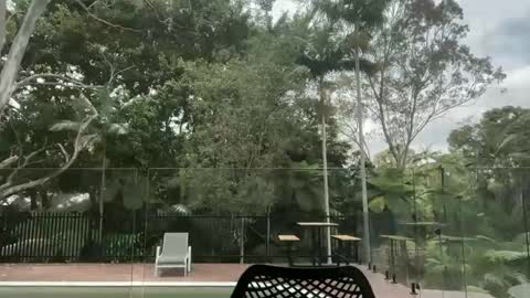 dartanian0001 online show from October 2025 12:38:01 AM