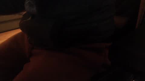 Snapshot of davdao3 chatting on December 2024 10:38:02 AM davdao3 online show from December 2024 10:38:02 AM