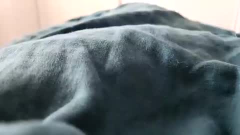 Snapshot of davdao3 chatting on February 2025 01:27:01 PM davdao3 online show from February 2025 01:27:01 PM