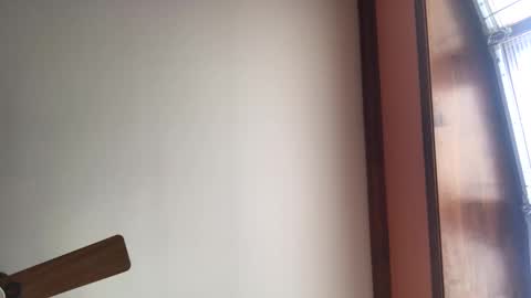 dave1964m online show from January 2025 03:20:01 PM