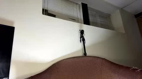 dave875126 online show from April 2026 01:53:01 AM