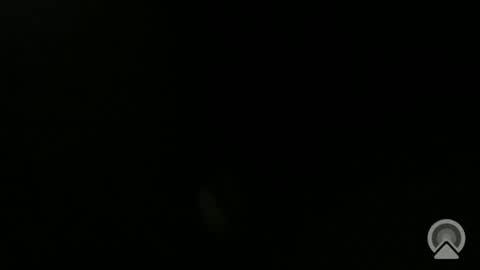 Snapshot of daveeveline chatting on November 2025 12:38:02 PM daveeveline online show from November 2025 12:38:02 PM