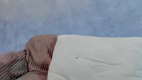 Snapshot of david_olsen chatting on February 2026 05:14:01 PM David online show from February 2026 05:14:01 PM