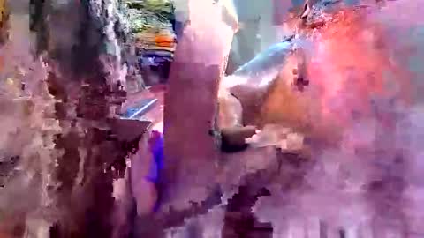 davidmarioslick online show from June 2026 12:06:02 PM