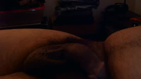 dball95 online show from June 2026 12:02:02 AM