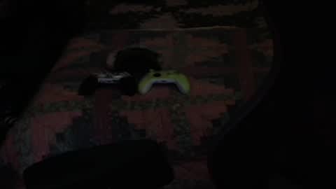 Snapshot of ddc444 chatting on September 2025 08:36:02 PM DC online show from September 2025 08:36:02 PM