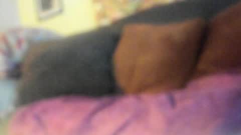 Snapshot of deeznutz343 chatting on May 2026 02:19:02 AM Deez Nutz online show from May 2026 02:19:02 AM