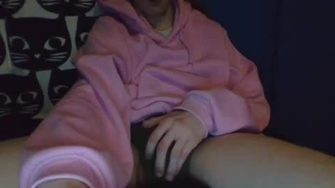 Snapshot of dekustick__ chatting on January 2025 07:42:01 AM CozyClementine online show from January 2025 07:42:01 AM