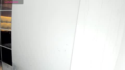 Snapshot of delightfulasianhugecock chatting on November 2025 05:07:01 PM delightfulasianhugecock online show from November 2025 05:07:01 PM