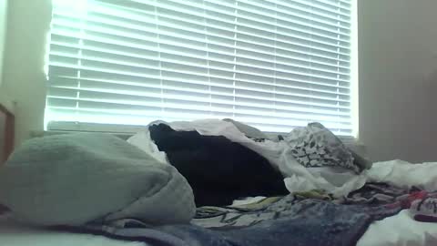 delightfuldark online show from February 2025 11:47:02 PM