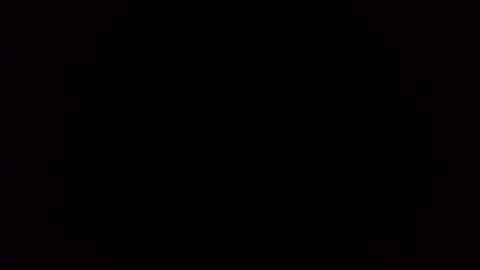 deliv_shopi online show from November 2025 02:32:01 AM